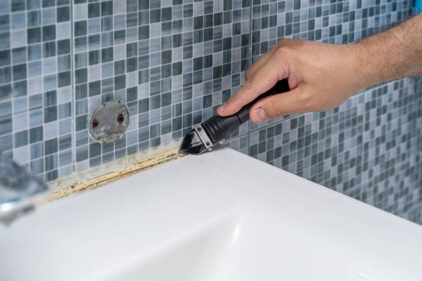 Best Residential Mold Removal  in Shannon Hills, AR